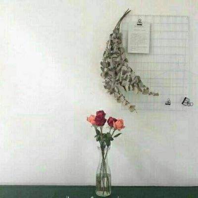 经营虚拟宠物店